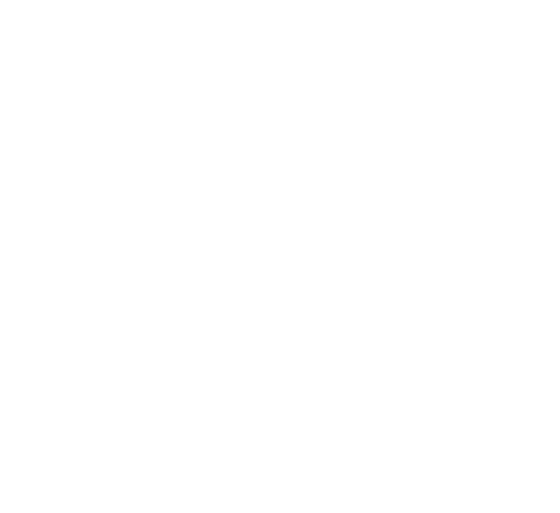 DAC-ANT log
