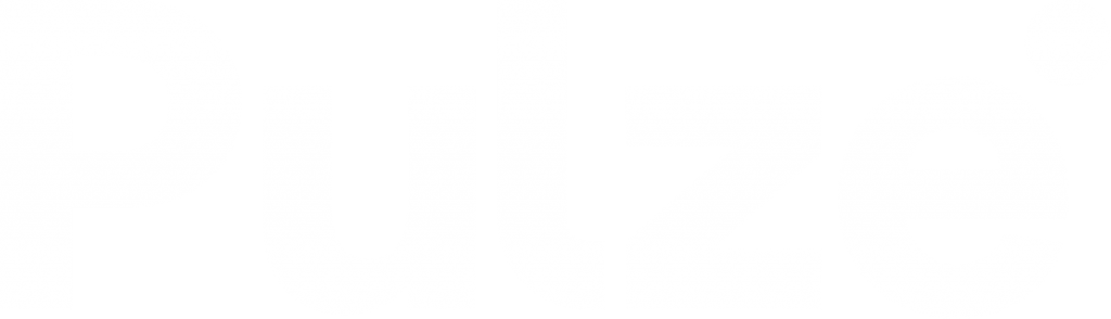 pulze logo